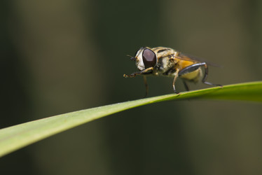 Similar image 8350504