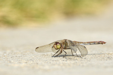 Similar image 8350508