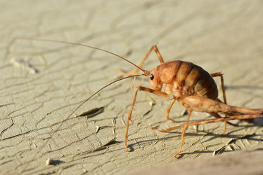 Similar image 8350510