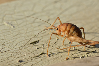 Similar image 8350512