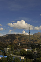 Similar image 8350513