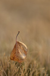 Similar image 8350514