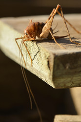 Similar image 8350517