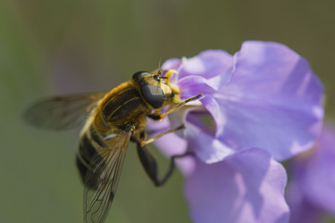 Similar image 8350521