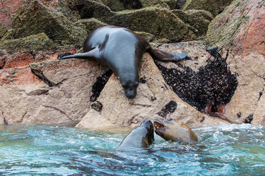 Similar image 8350561