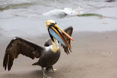 Similar image 8350564