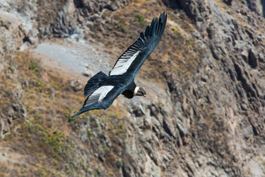 Similar image 8350569