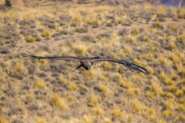 Similar image 8350573