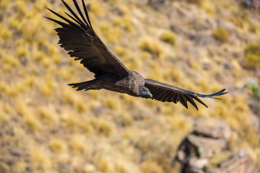 Similar image 8350577