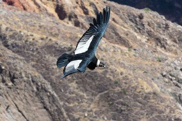 Similar image 8350581