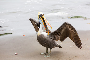 Similar image 8350583