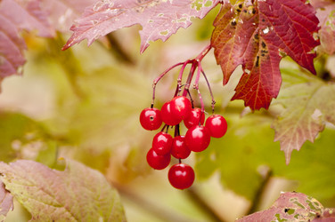 Similar image 8350716