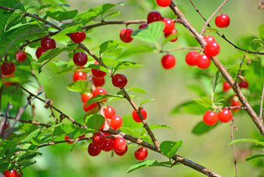 Similar image 8350724