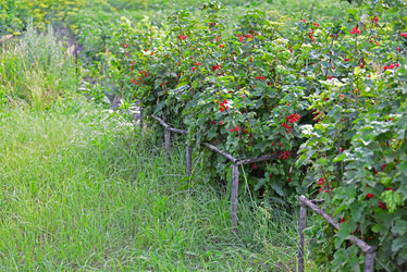 Similar image 8350728