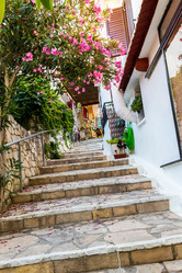 Similar image 8350731