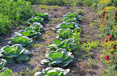 Similar image 8350919