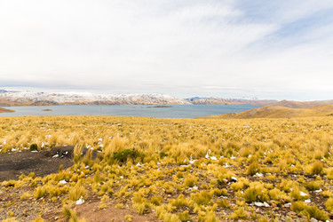 Similar image 8351149