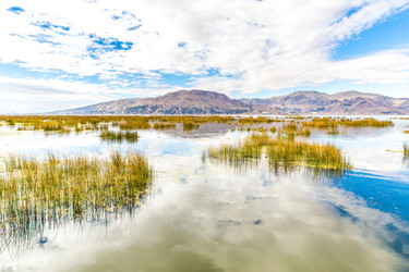 Similar image 8351157