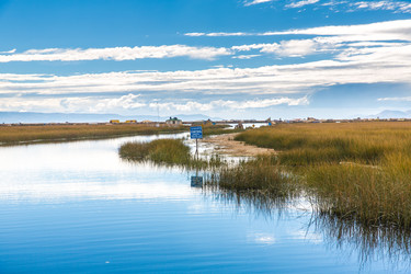 Similar image 8351159