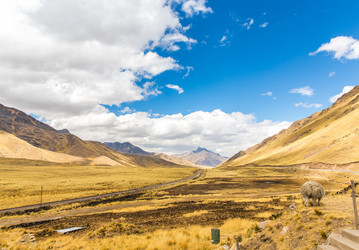 Similar image 8351163