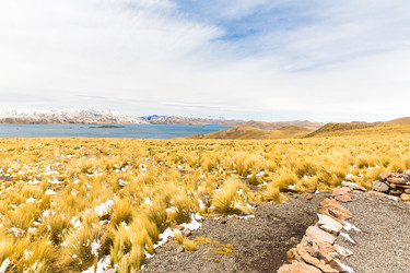 Similar image 8351164