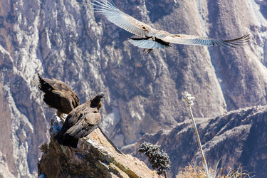 Similar image 8351201