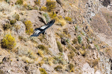 Similar image 8351202