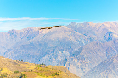 Similar image 8351204