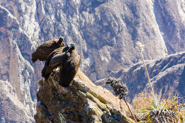 Similar image 8351205