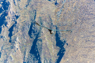 Similar image 8351206