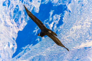 Similar image 8351207