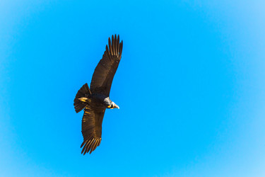 Similar image 8351209