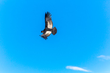 Similar image 8351221