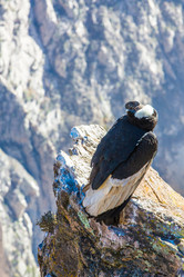 Similar image 8351228