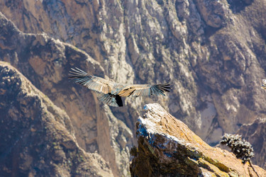 Similar image 8351236