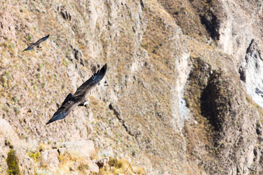 Similar image 8351237