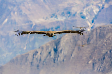 Similar image 8351238