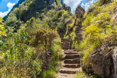 Similar image 8351258