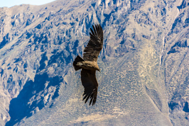 Similar image 8351275