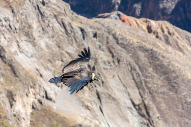 Similar image 8351284