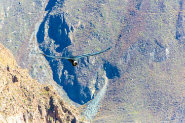 Similar image 8351288