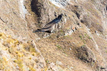 Similar image 8351296