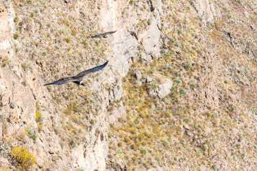 Similar image 8351298