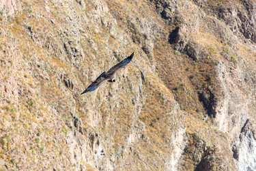 Similar image 8351311