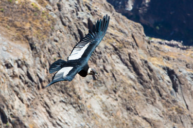 Similar image 8351316