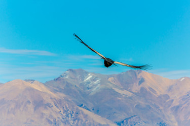 Similar image 8351325