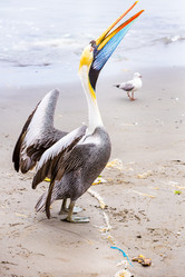 Similar image 8351330