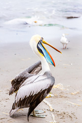 Similar image 8351331