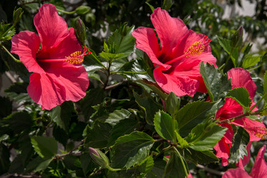 Similar image 8351564