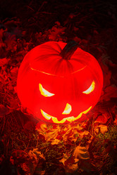 Similar image 8351637